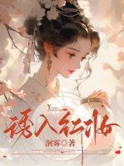  诱入红妆