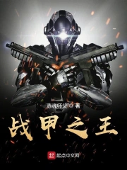  战甲之王