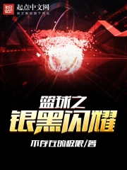  篮球之银黑闪耀