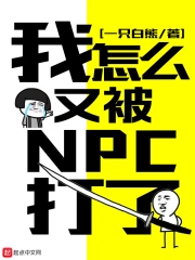  我怎么又被NPC打了
