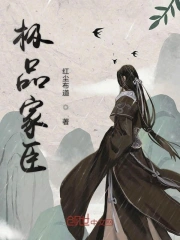  极品家臣