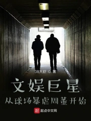  文娱巨星：从球场暴虐周董开始