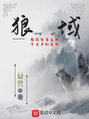  狼域