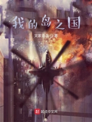 我的岛之国