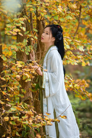  穿越武侠梦